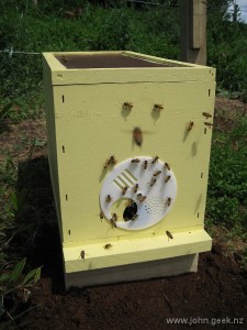 Bees arrive